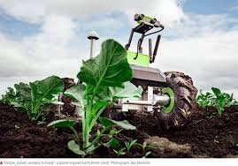 Robotic Farming