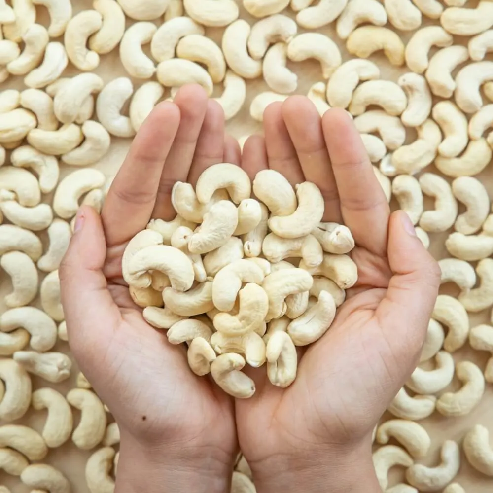 Are Cashews Actually Healthy? A Closer Look at Their Real Benefits (vs. Almonds, Walnuts & More)