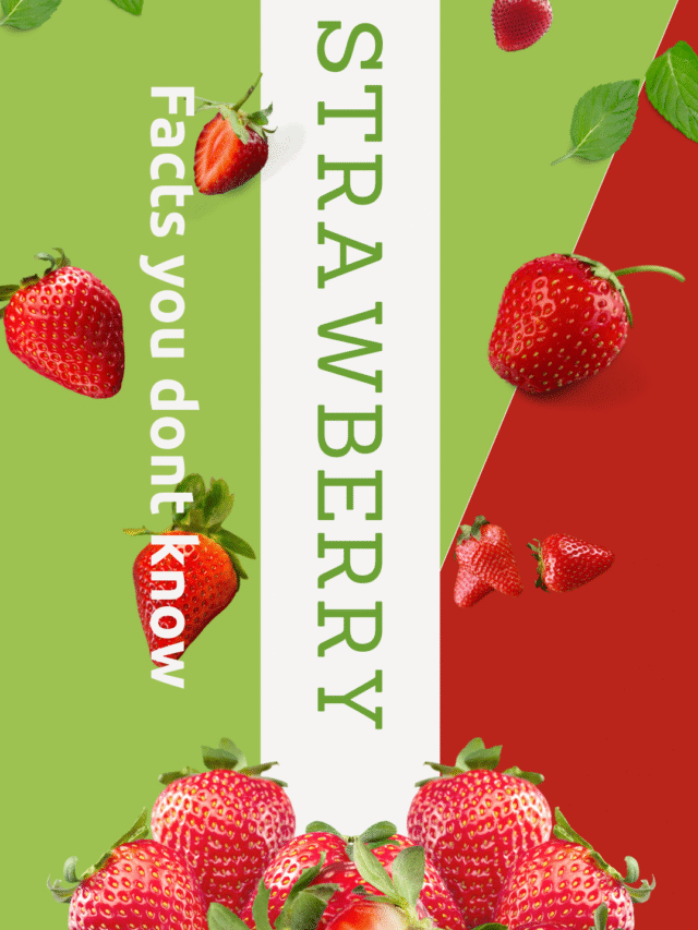 Sweet Truths: 7 Juicy Strawberry Facts You Didn’t Know